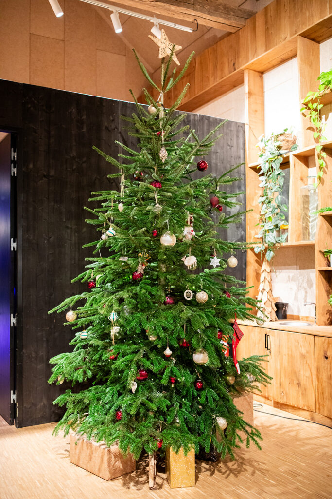 sapin noel mariage hiver